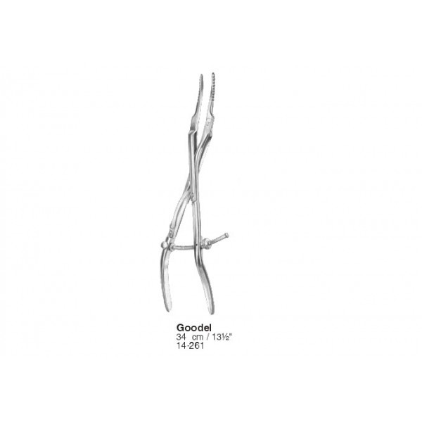 Gynecology, Obstetrics
